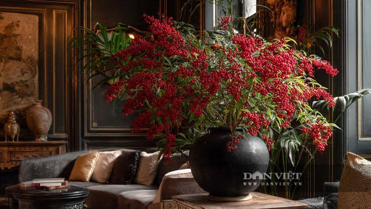 View - Vì sao nam thiên trúc là cây số 1 trong phong thủy nhà ở? | Báo Tri thức và Cuộc sống - TIN TỨC PHỔ BIẾN KIẾN THỨC 24H