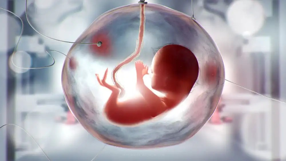 Các chuyên gia khẳng định công nghệ này hứa hẹn giúp trẻ sinh non nhưng vẫn còn nhiều thách thức y học và đạo đức. (Ảnh: Sify)