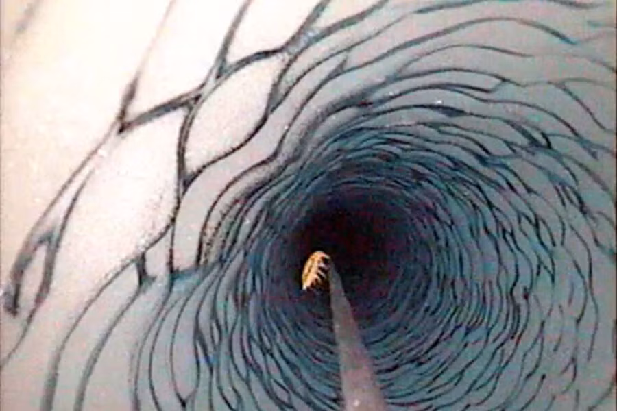 Một số chương trình khoa học đã đề xuất công nghệ lấy mẫu không tiếp xúc, giúp hạn chế ảnh hưởng môi trường trong nghiên cứu các tầng băng. (Ảnh: The Christian Science Monitor)