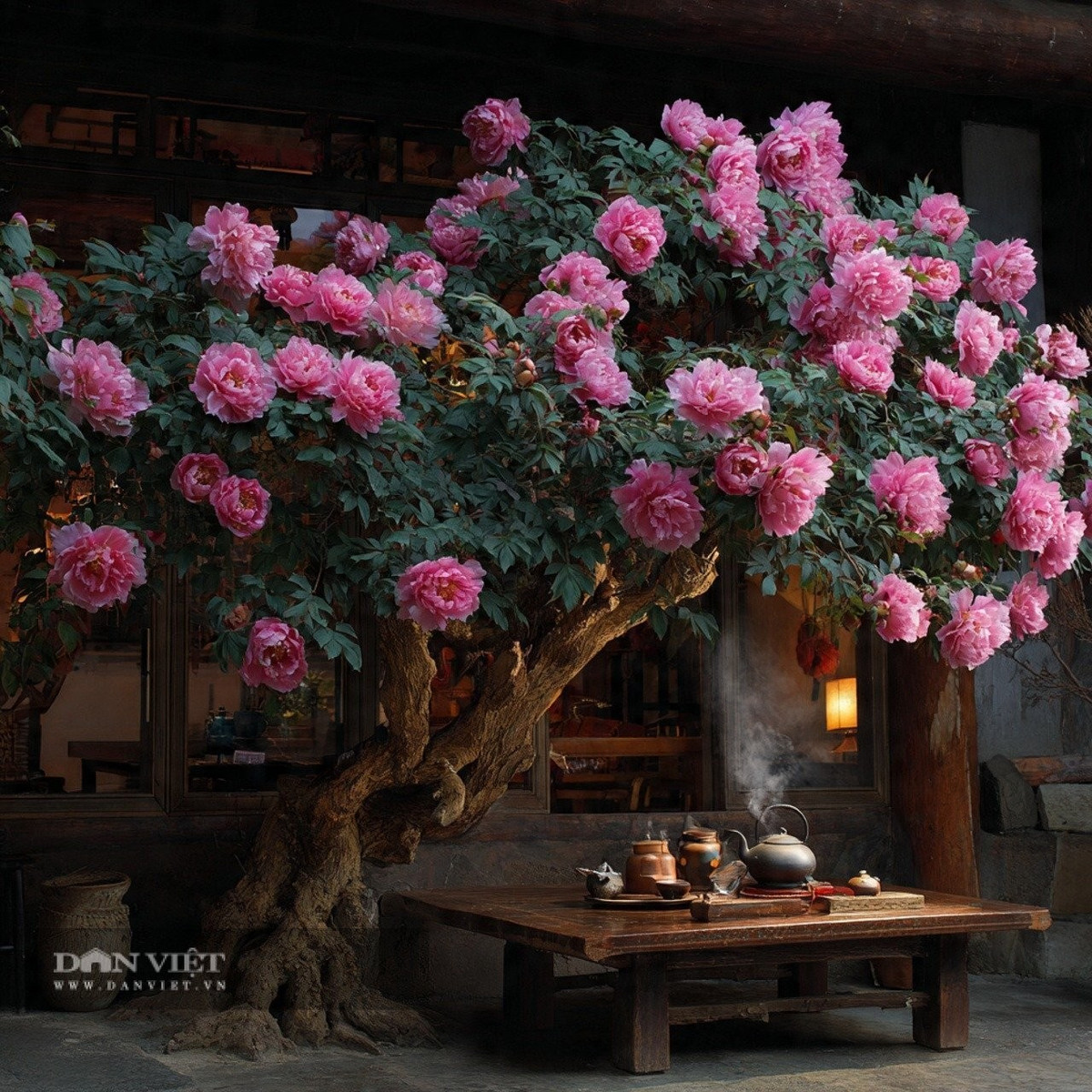 1. Mẫu đơn: Cây mẫu đơn cổ thụ thường xuất hiện trong những gia đình quyền quý, đặt trong chậu gốm sứ tinh xảo. Thân cây dày, sần sùi, mang dấu tích thời gian, vươn thẳng đầy khí chất.