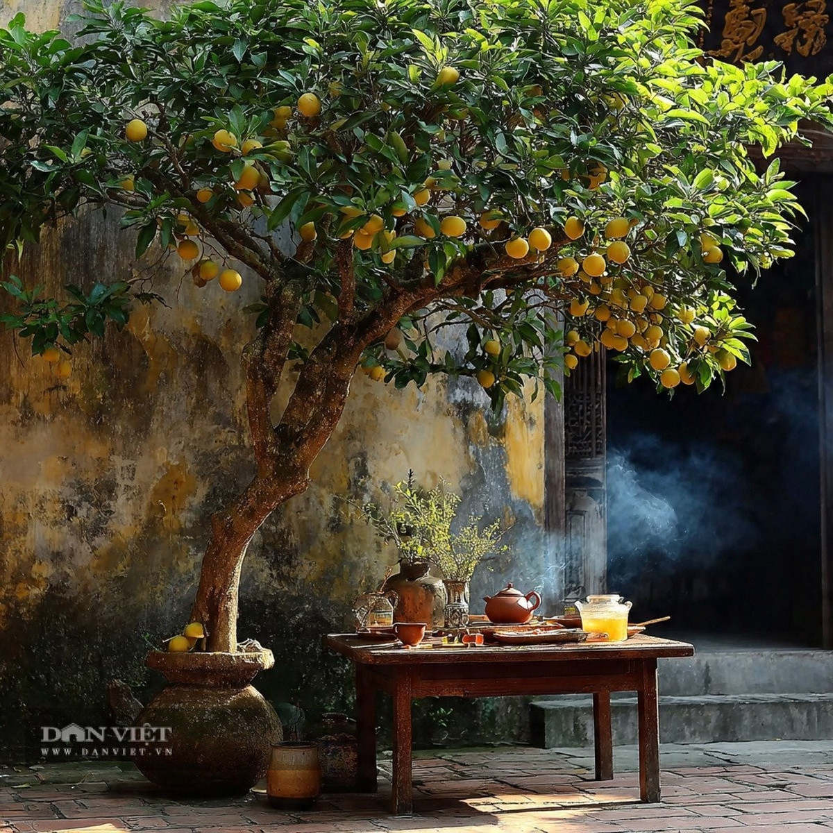 Người xưa luôn theo đuổi một cuộc sống tốt đẹp hơn và những loại cây họ trồng cũng mang ý nghĩa cát tường như cây cam