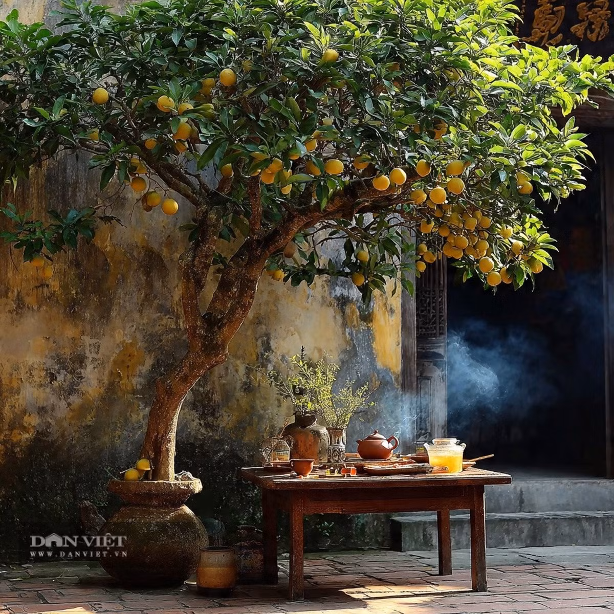 Người xưa luôn theo đuổi một cuộc sống tốt đẹp hơn và những loại cây họ trồng cũng mang ý nghĩa cát tường như cây cam