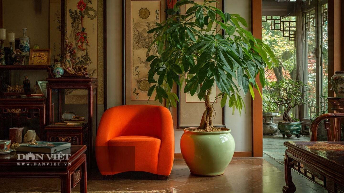 1. Cây kim ngân: Cây kim ngân là biểu tượng quen thuộc của tài lộc mỗi dịp Tết. Tán lá xanh mướt quanh năm, dáng cây gọn gàng giúp không gian thêm tươi mới, tràn đầy sức sống. Nhiều người tin rằng trưng kim ngân trong nhà sẽ thu hút tiền tài, mang đến năm mới sung túc.