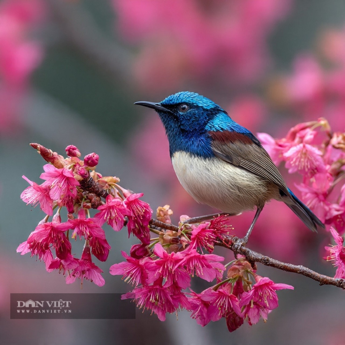 Tràn đầy niềm vui mùa màng, những người sinh vào tháng 8 Âm lịch này dường như có mối liên hệ tự nhiên với mùa thu.