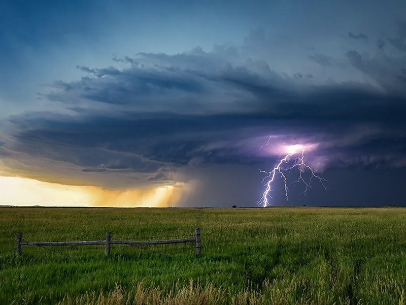 Đam mê của Metz bắt đầu từ thời thơ ấu ở Arizona, khi bà thường mơ thấy lốc xoáy. Sau khi chuyển đến Minnesota, bà háo hức mỗi khi còi báo động vang lên và nhanh chóng lái xe vào vùng bão.