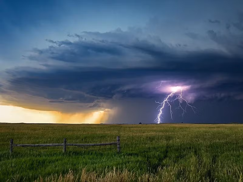 Đam mê của Metz bắt đầu từ thời thơ ấu ở Arizona, khi bà thường mơ thấy lốc xoáy. Sau khi chuyển đến Minnesota, bà háo hức mỗi khi còi báo động vang lên và nhanh chóng lái xe vào vùng bão.