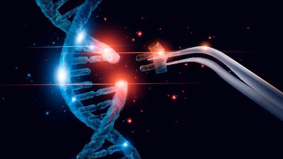 Thành tựu này mở ra hy vọng tạo ra loại tơ nhện tùy chỉnh để ứng dụng trong may mặc kỹ thuật cao, chỉ khâu sinh học hoặc vật liệu thay thế nhựa bền vững.(Ảnh: Technology Networks)