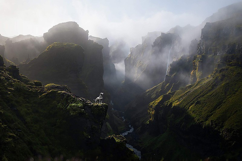 Nhiếp ảnh gia Bellot Audrey (Pháp) với ảnh “Vùng đất của Ánh sáng” – Giải hạng mục Thú cưng.