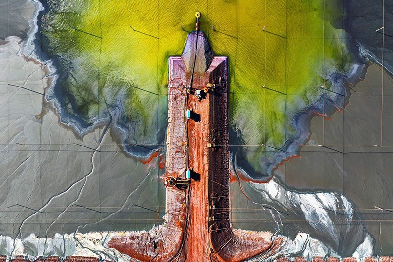 Nhiếp ảnh gia Mark Gray (Australia) với tác phẩm “Bonsai” – Nhiếp ảnh gia của Năm hạng mục Trừu tượng.