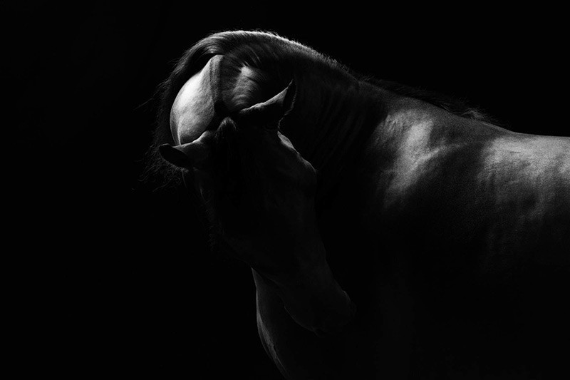 Nhiếp ảnh gia Bill Pack (Mỹ) với bức ảnh “Hơi thở xen giữa” – Giải thưởng Trừu tượng.