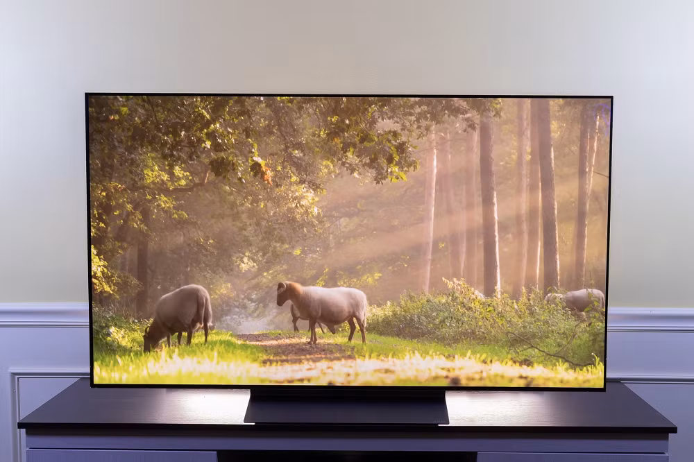 TV OLED đang được xem là lựa chọn hàng đầu cho nhu cầu giải trí tại gia nhờ khả năng hiển thị màu sắc chính xác và độ tương phản gần như tuyệt đối so với các công nghệ khác.