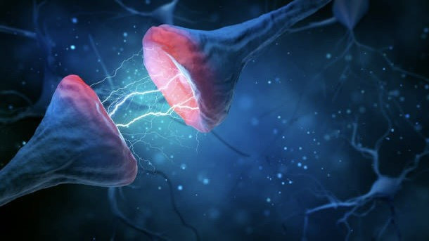 Công nghệ camera nano còn mở đường nghiên cứu quá trình xâm nhập virus, tiết hormone hay hình thành ký ức trong não.