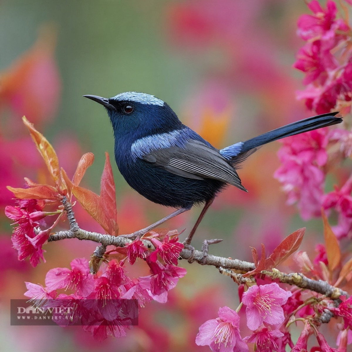 Những người sinh vào tháng 12 Âm lịch nhận thức rõ rằng &quot;sự hoàn hảo&quot; không thể đạt được chỉ sau một đêm