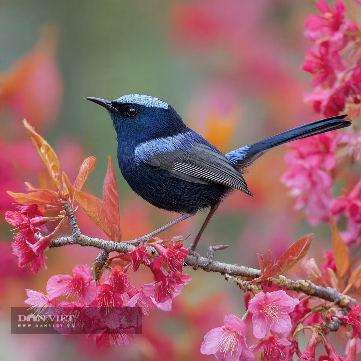 Những người sinh vào tháng 12 Âm lịch nhận thức rõ rằng "sự hoàn hảo" không thể đạt được chỉ sau một đêm