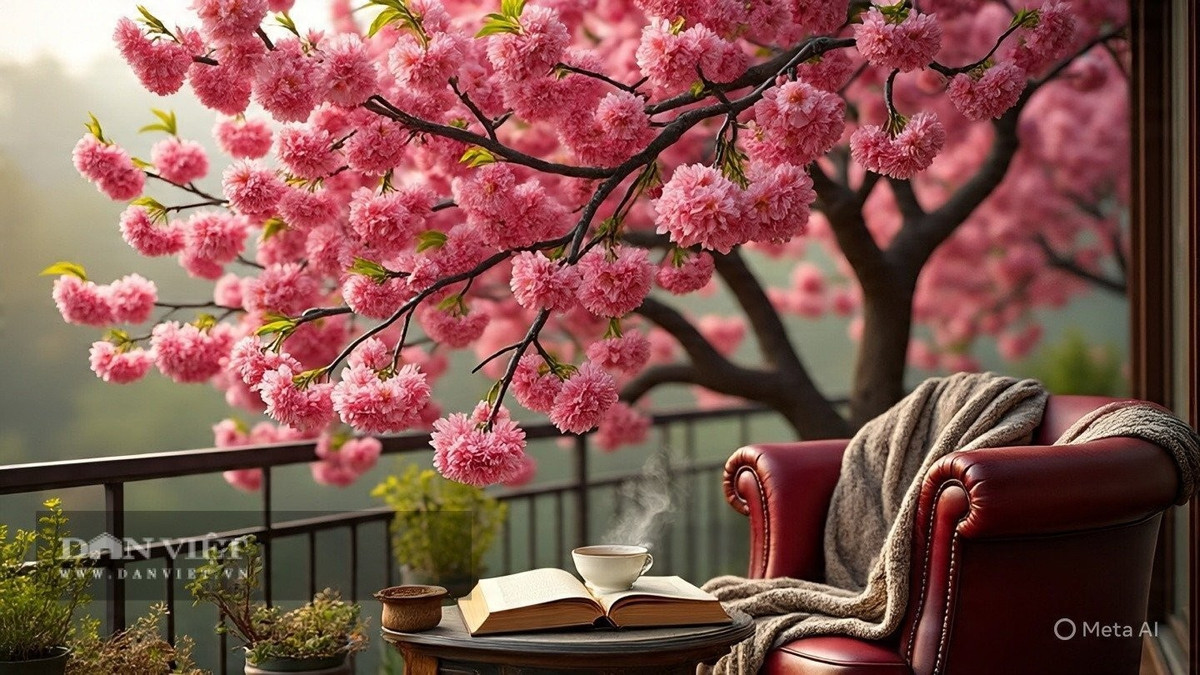 Qua thời gian, cây mơ mận trở thành chứng nhân lịch sử của gia đình, truyền lại tinh thần mạnh mẽ và hy vọng cho thế hệ sau — như một biểu tượng sống của niềm tin và hạnh phúc bền lâu.