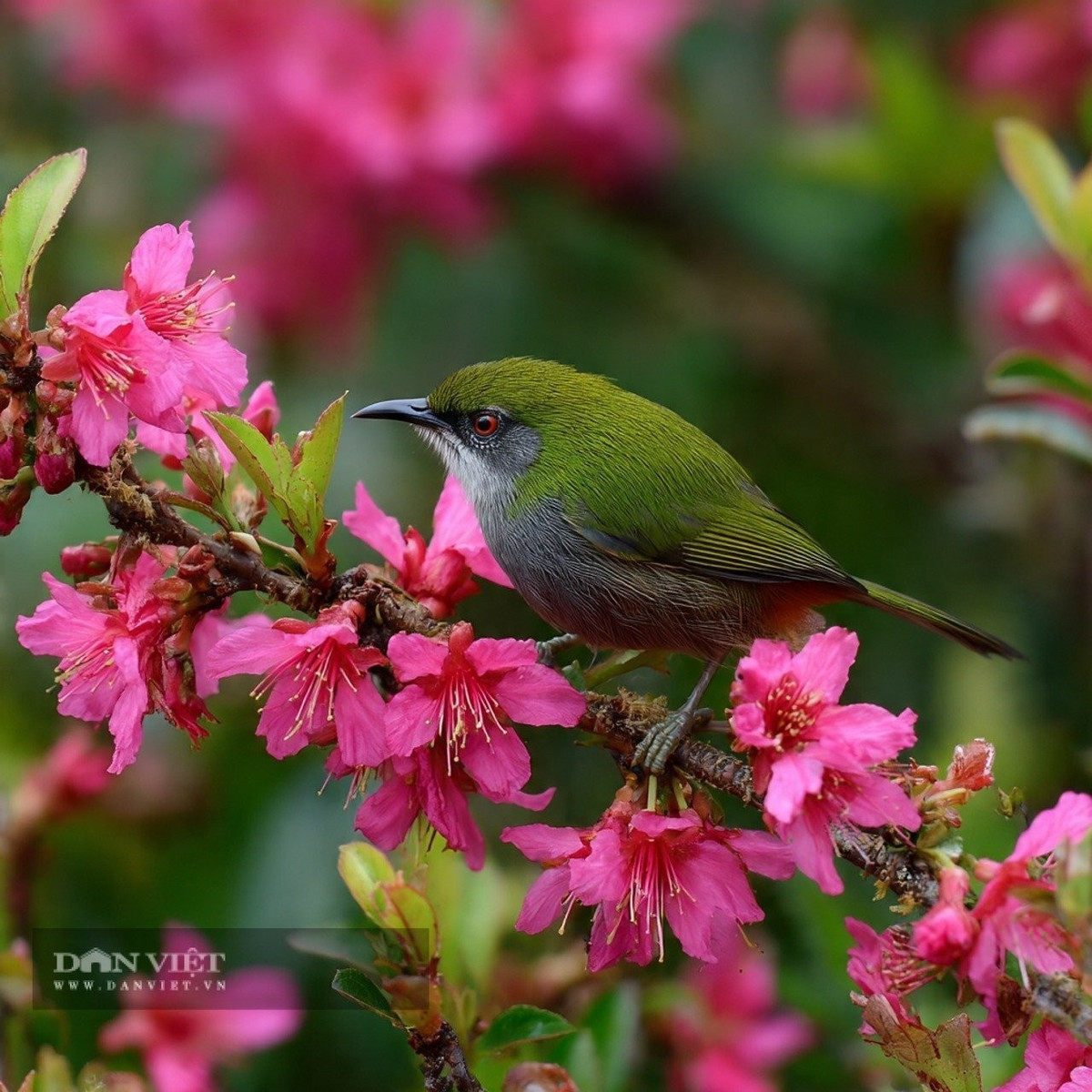 Những ngày tháng chúng ta nỗ lực hết mình mà không thấy kết quả nào được gọi là &quot;bám rễ&quot;. Ảnh minh họa