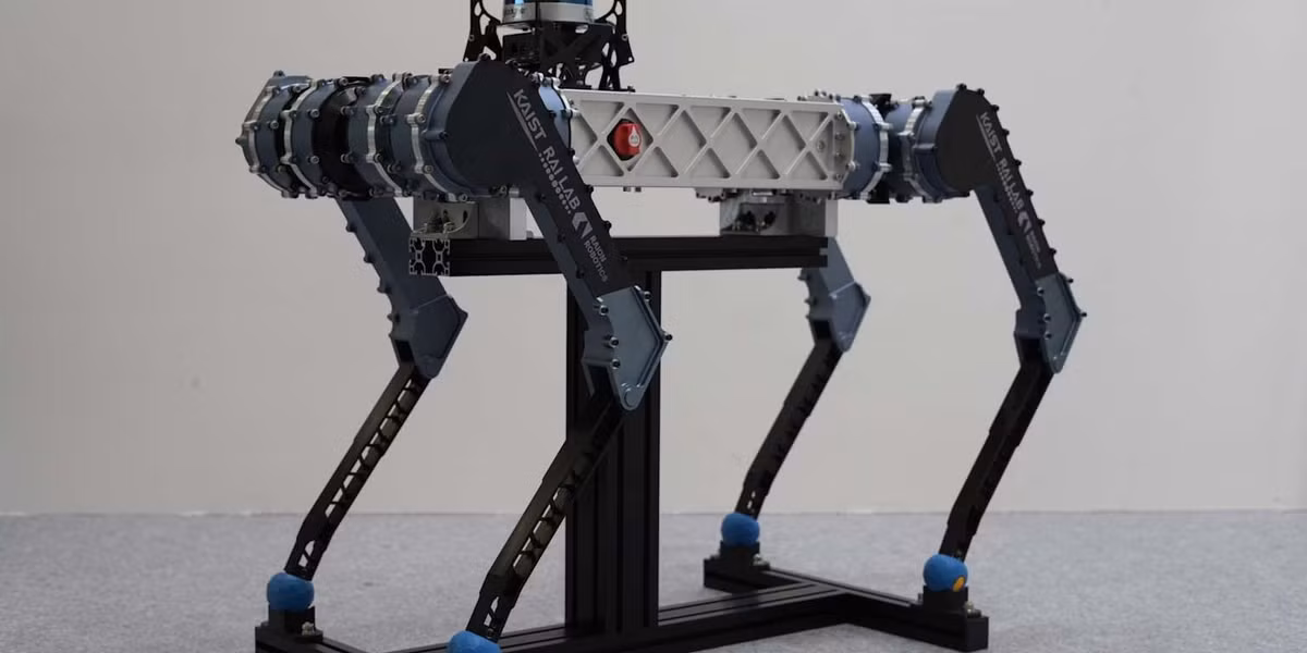 Trên đường chạy, Laibo 2 phải vượt hai ngọn đồi dốc, điều chỉnh tốc độ và né các vận động viên xung quanh.(Ảnh: trstdly)