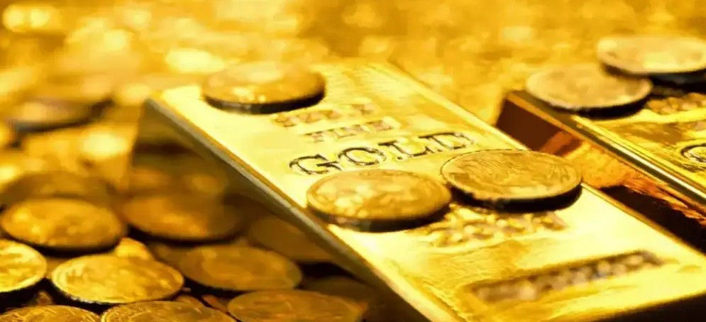 Được biết, kho báu này từng thuộc về một cặp vợ chồng già, giấu kín tài sản mà không nói với con cái.