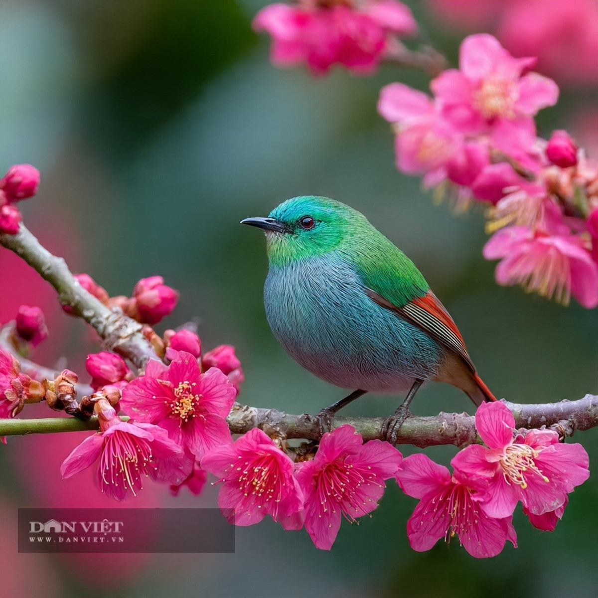 Người sinh tháng 11 Âm lịch như một quý ông giấu đi tài năng của mình và chờ thời điểm thích hợp để hành động.