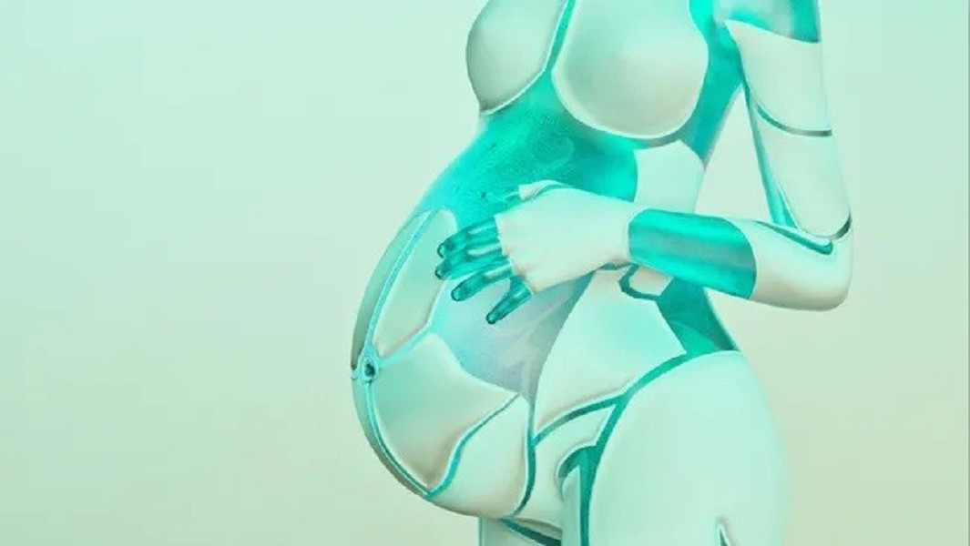 Vào cuối tháng 8, mạng xã hội Trung Quốc lan truyền hình ảnh kỳ lạ về một “robot mang thai” được cho là đang phát triển tại nước này. (Ảnh: Donald Iain Smith)