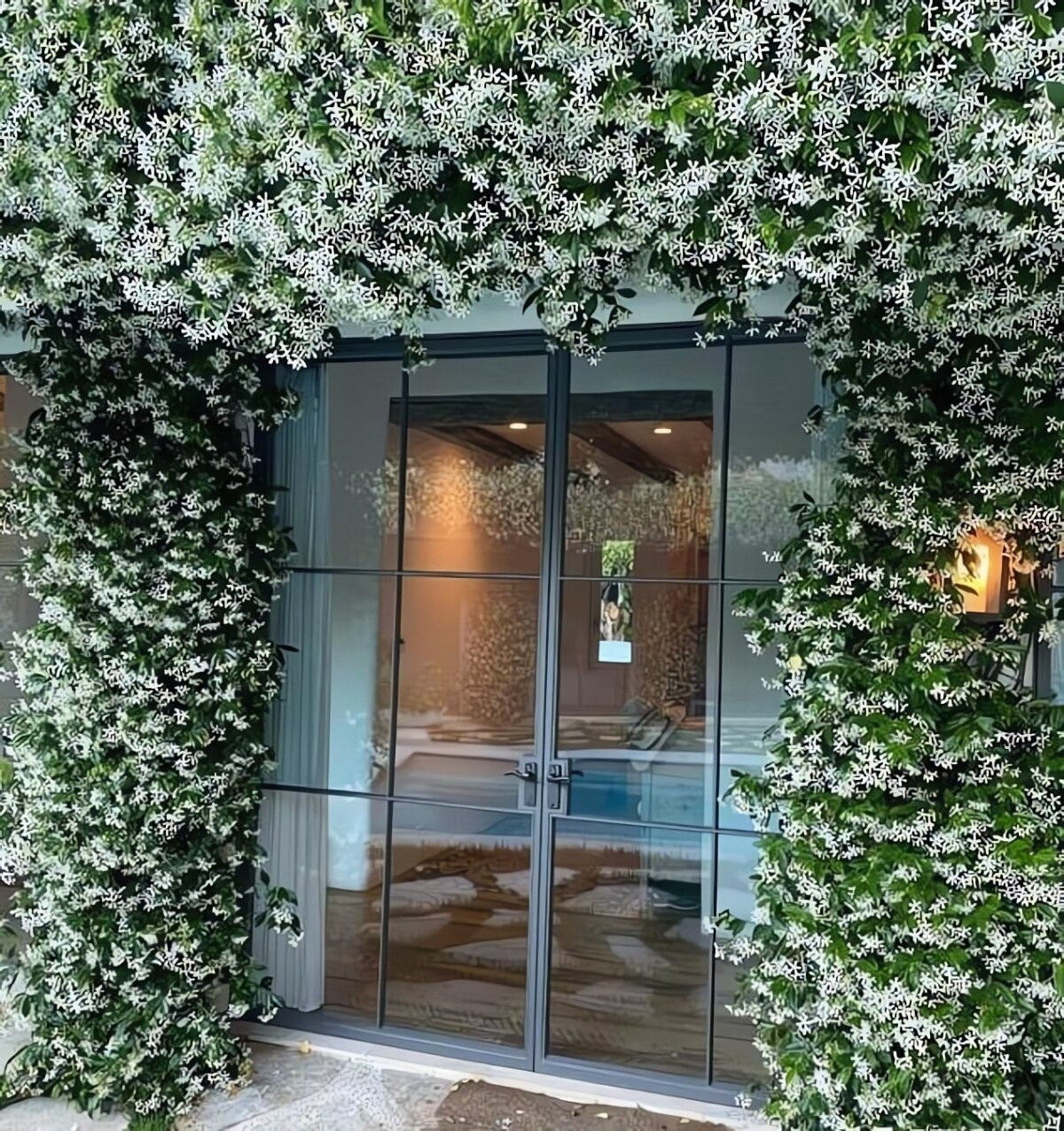 Mùa hoa đến, cả giàn cây như rực sáng. Hàng ngàn bông trắng muốt đung đưa theo gió, như những chiếc cối xay gió lấp lánh dưới nắng. Cảnh tượng này khiến người ta tưởng như đang ngắm mưa tuyết giữa mùa hè.