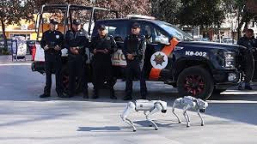 Biệt đội K9-X trở thành biểu tượng cho chiến lược an ninh hiện đại, đảm bảo World Cup 2026 an toàn và chuyên nghiệp.