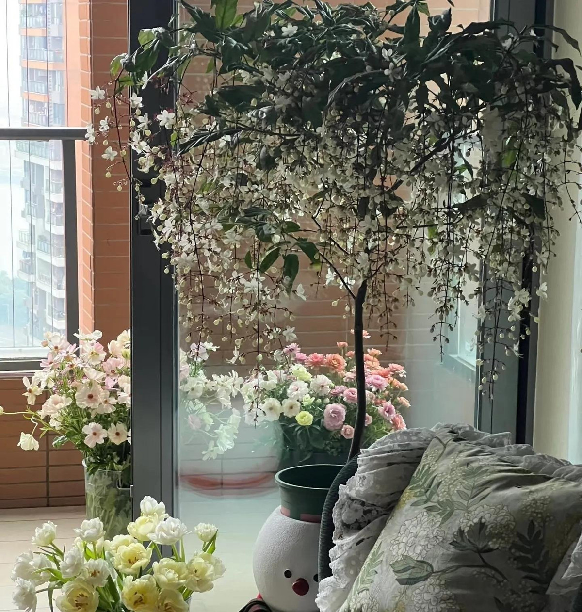 Tên gọi “dạ ngọc minh châu” mang nét sang trọng, cao quý, đúng như vẻ đẹp và hương thơm mà nó tỏa ra.