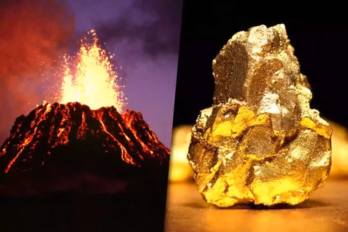 Nils Messling mô tả khoảnh khắc tìm thấy dữ liệu đầu tiên là “đào được vàng” theo đúng nghĩa đen.(Ảnh: La Derecha Diario)