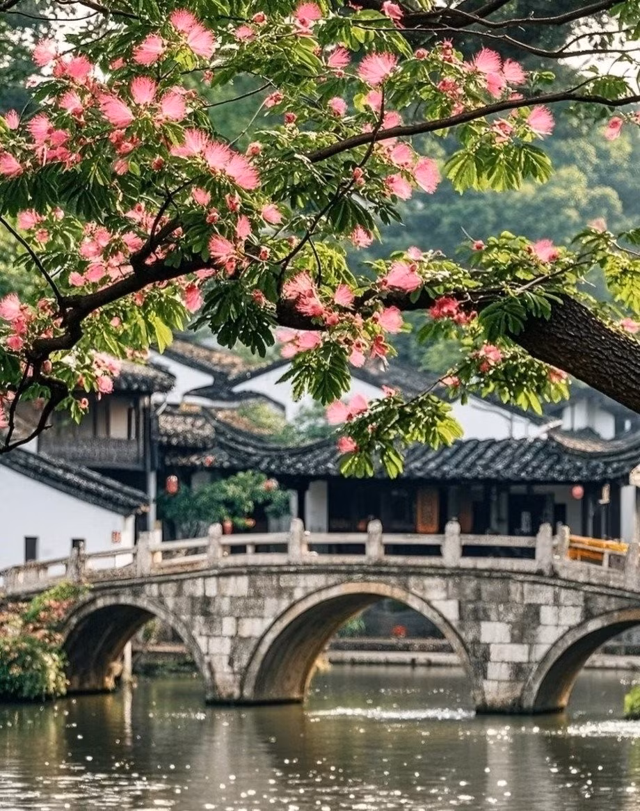 Đặc biệt, hương hoa hợp hoan rất thơm. Sau khi nở sẽ tỏa mùi thơm như nước hoa, tươi mát, dễ chịu khiến mọi người đều muốn được ướp mình trong hương thơm của nó.