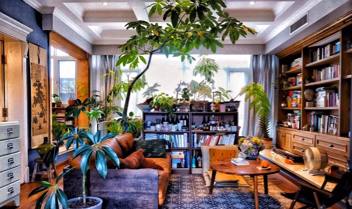 3. Cây cảnh: Kim ngân. Cây cảnh kim ngân có tên khoa học là Pachira aquatica, tên tiếng Anh thường gọi đặc biệt "tài lộc"" Money tree (cây tiền). Lá của cây cảnh này lớn, dạng chân vịt và bóng, tăng thêm sức hấp dẫn về mặt thẩm mỹ.