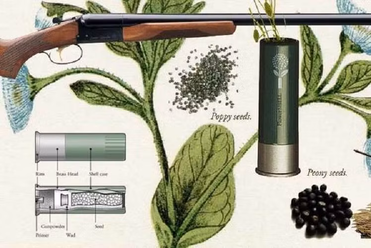 Ý tưởng ra đời từ mong muốn biến súng, biểu tượng của bạo lực, thành công cụ làm đẹp thế giới.