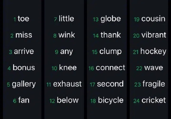 Các ứng dụng này có giao diện giống hệt bản chính thức, yêu cầu người dùng nhập cụm từ khôi phục ví 12 từ (mnemonic phrase).
