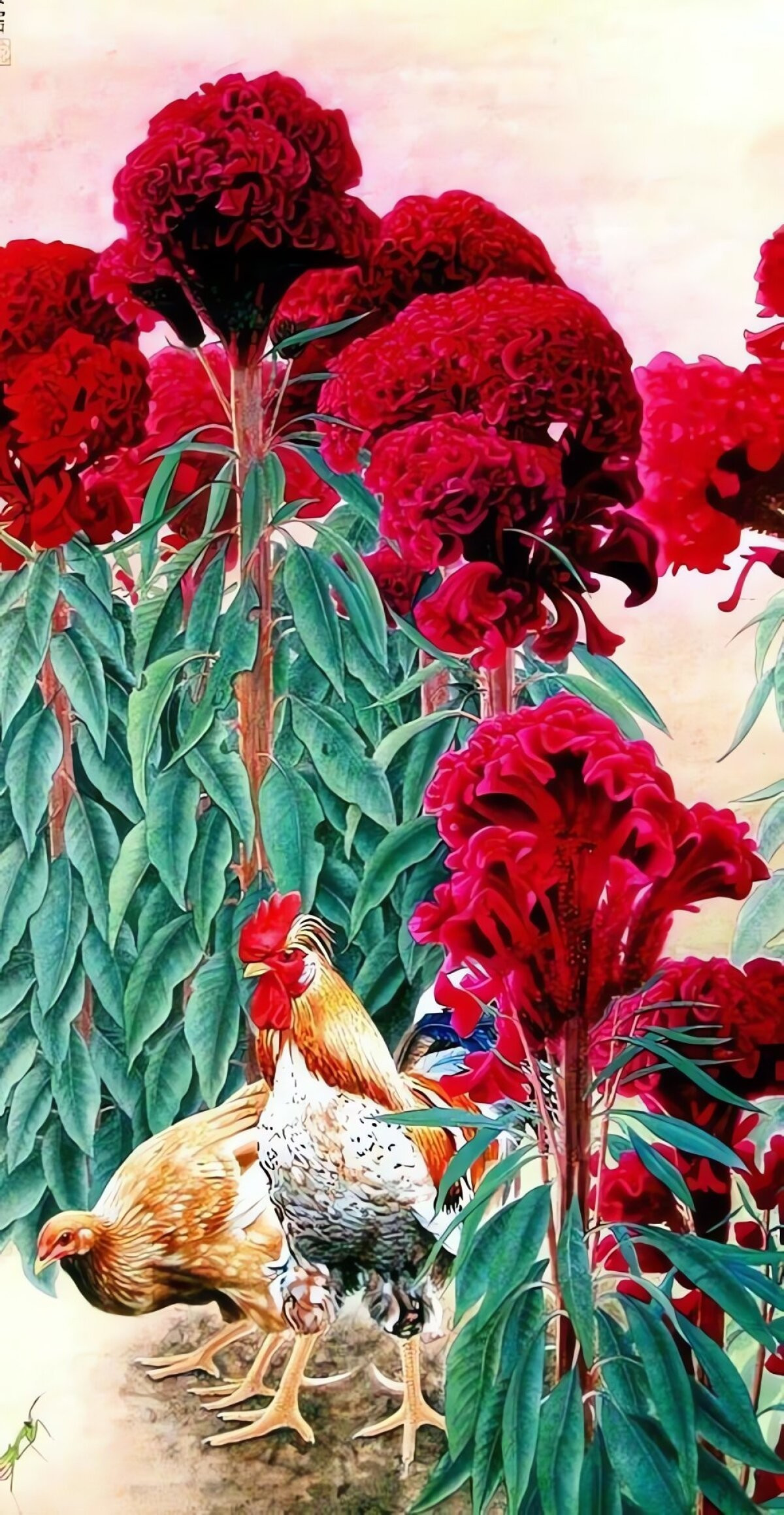 View - Cây cảnh dân dã trổ hoa rực rỡ, hút may mắn đầu mùa | Báo Tri thức và Cuộc sống - TIN TỨC PHỔ BIẾN KIẾN THỨC 24H