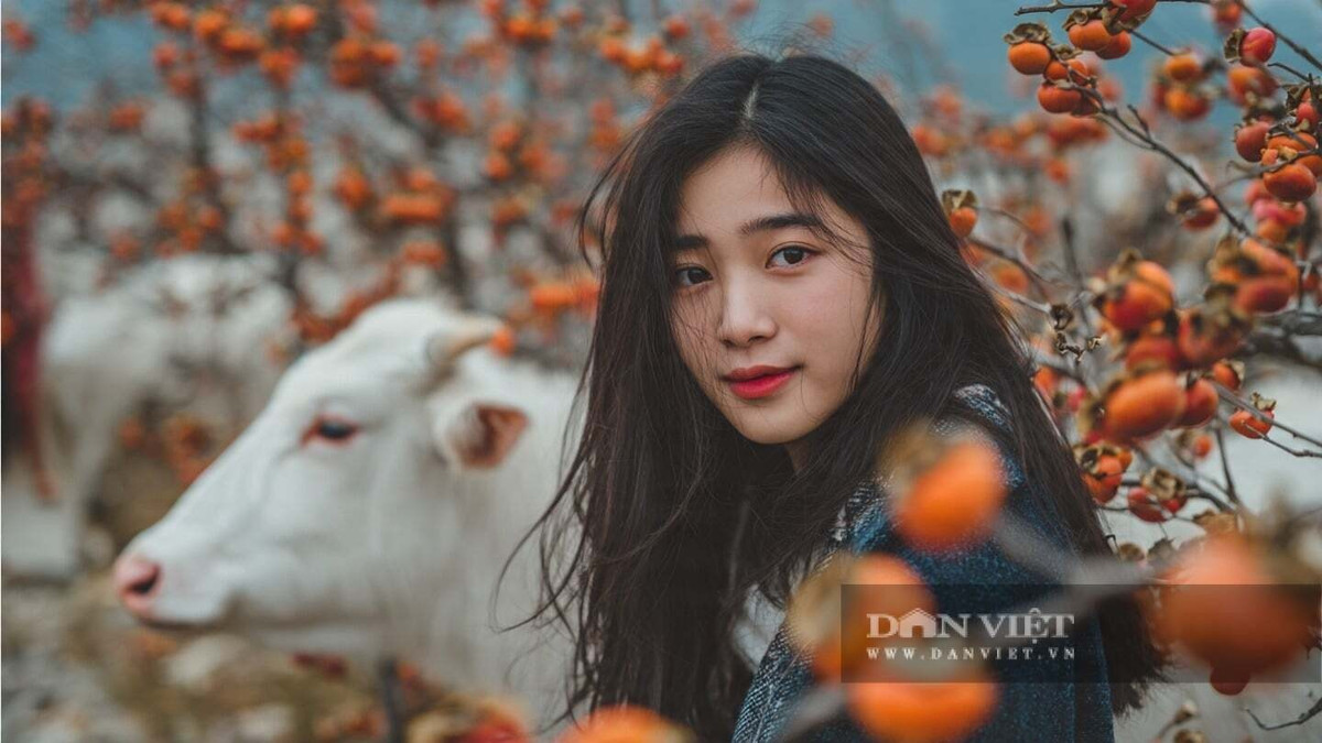 Trước 35 tuổi, người tuổi Sửu có thể âm thầm trau dồi kỹ năng và phẩm chất của mình. Sau 35 tuổi, những nỗ lực của họ bắt đầu được đền đáp.