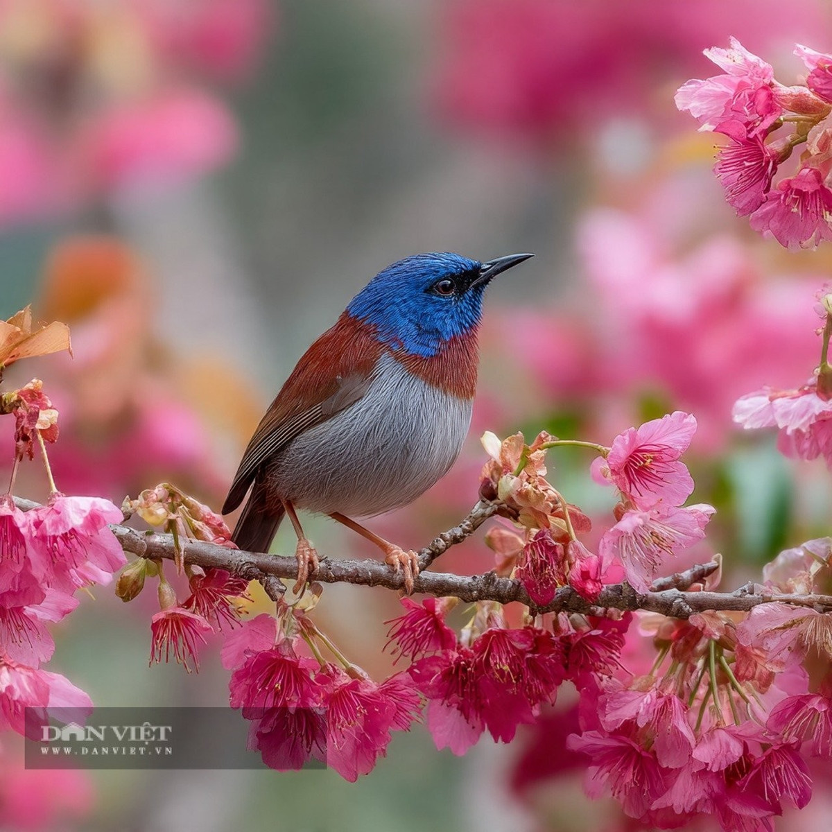 Phước lành này là do người có ngày sinh Âm lịch tận cùng là số 3 tự kiếm được, chứ không phải do họ chờ đợi mà có. Ảnh minh họa