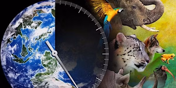 Một loài mất đi sẽ kéo theo sự tuyệt chủng của những loài phụ thuộc vào nó để sống sót.(Ảnh: Eventbrite)