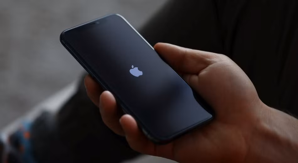 Công cụ này có cơ chế phức tạp, tự dừng hoạt động nếu phát hiện Lockdown Mode hoặc chế độ duyệt web riêng tư. Sau đó, nó tải thêm thành phần để mở rộng quyền truy cập.