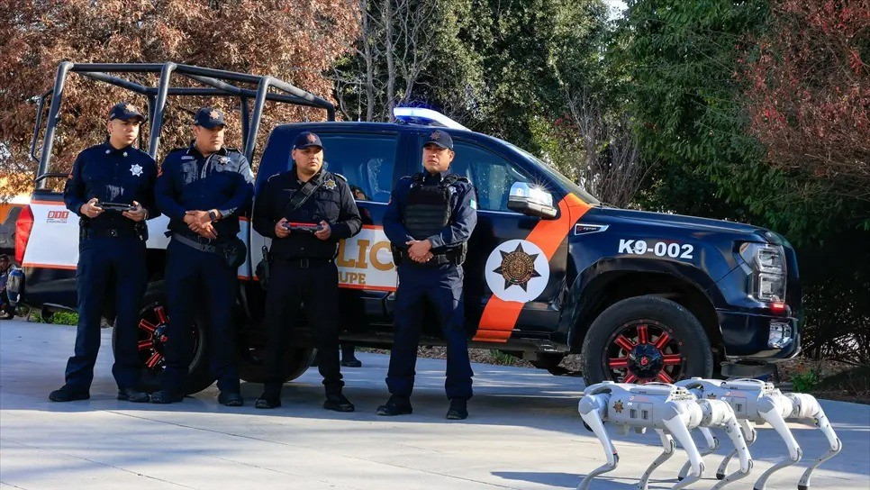 Chúng có khả năng leo cầu thang, di chuyển trên địa hình gồ ghề và hoạt động trong điều kiện thiếu sáng.