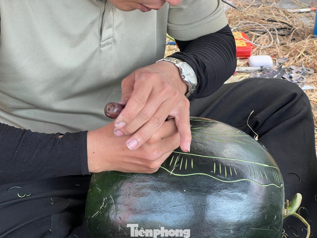 View - Hái ra tiền ngày Tết với dưa khắc chữ, dừa dát vàng phong thủy | Báo Tri thức và Cuộc sống - TIN TỨC PHỔ BIẾN KIẾN THỨC 24H