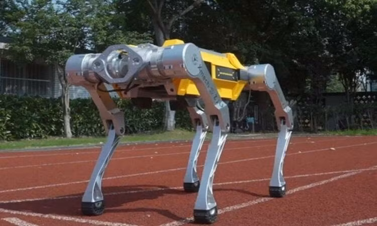 Hệ thống điều khiển chuyển động dùng reinforcement learning giúp cân bằng và tăng tốc theo thời gian thực.