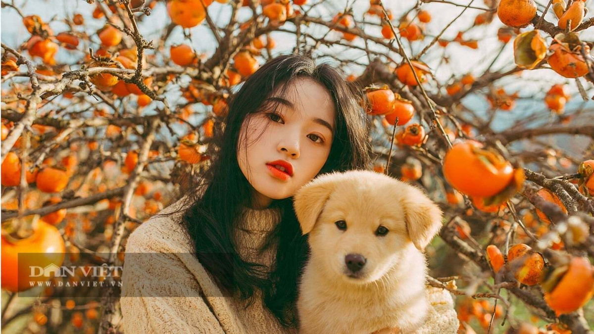 Tuổi Tuất: Theo tử vi ngày mai, người tuổi tuổi Tuất trung thành, đáng tin cậy, siêng năng trong công việc và có tinh thần trách nhiệm cao. Trước 35 tuổi, con giáp này có thể âm thầm tích lũy kinh nghiệm, nâng cao kỹ năng, tạo nền tảng vững chắc cho thành công trong tương lai.