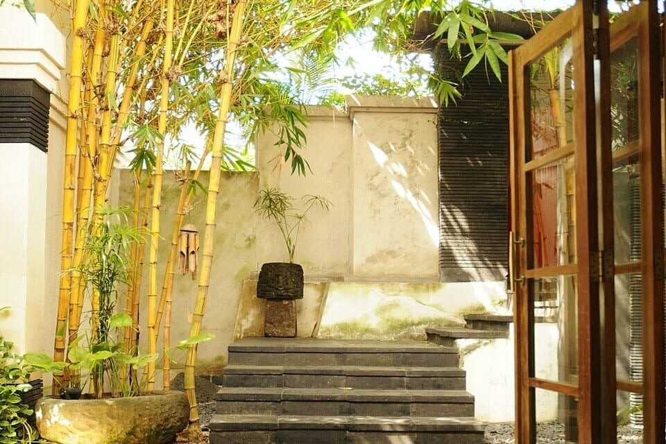 Không chỉ mang ý nghĩa tinh thần, tre còn là lựa chọn cảnh quan lý tưởng: xanh tươi quanh năm, tiếng lá xào xạc trong gió gợi sự thư thái. Một khóm tre trước nhà không chỉ tạo bóng mát mà còn mang đến cảm giác bình yên, nghệ thuật cho không gian sống.