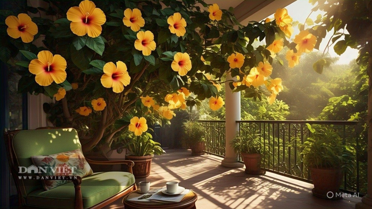 3. Dâm bụt – Sặc sỡ nhưng dễ thành “ổ rệp” nếu lơ là: Dâm bụt là loài hoa mang năng lượng tích cực – tươi tắn, rực rỡ, màu sắc sống động như thổi làn gió lễ hội vào không gian sống. Chỉ cần một chậu nhỏ ở góc ban công là đủ để khiến tổ ấm trở nên tràn đầy sức sống.