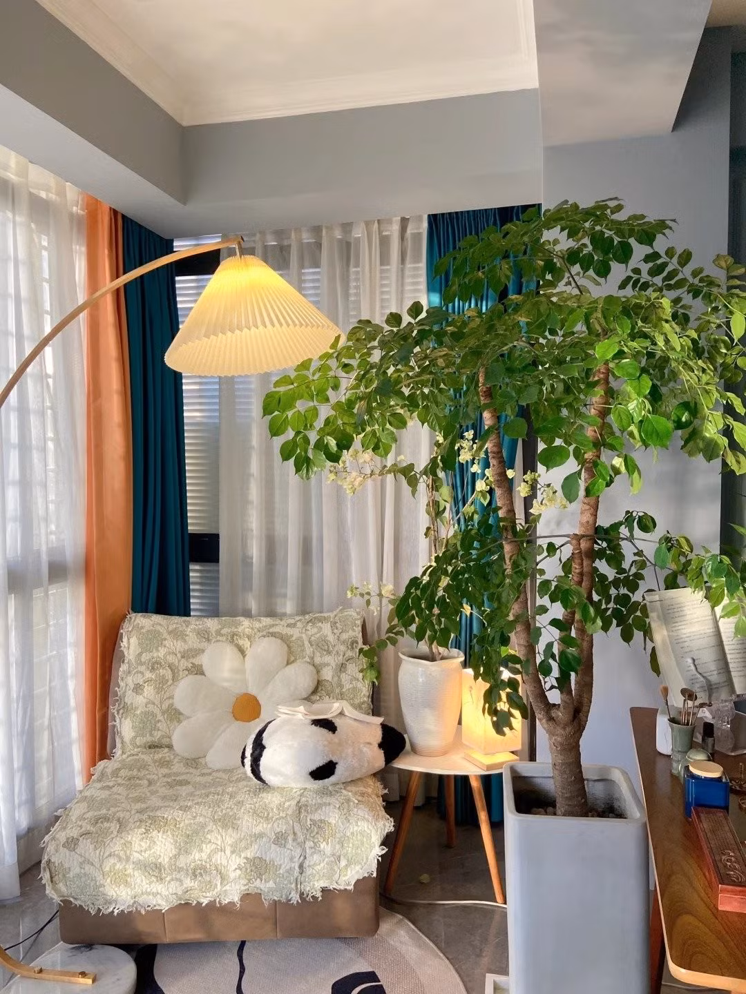 Cây cảnh này có ý nghĩa phong thủy như tên gọi. Ảnh minh họa Toutiao