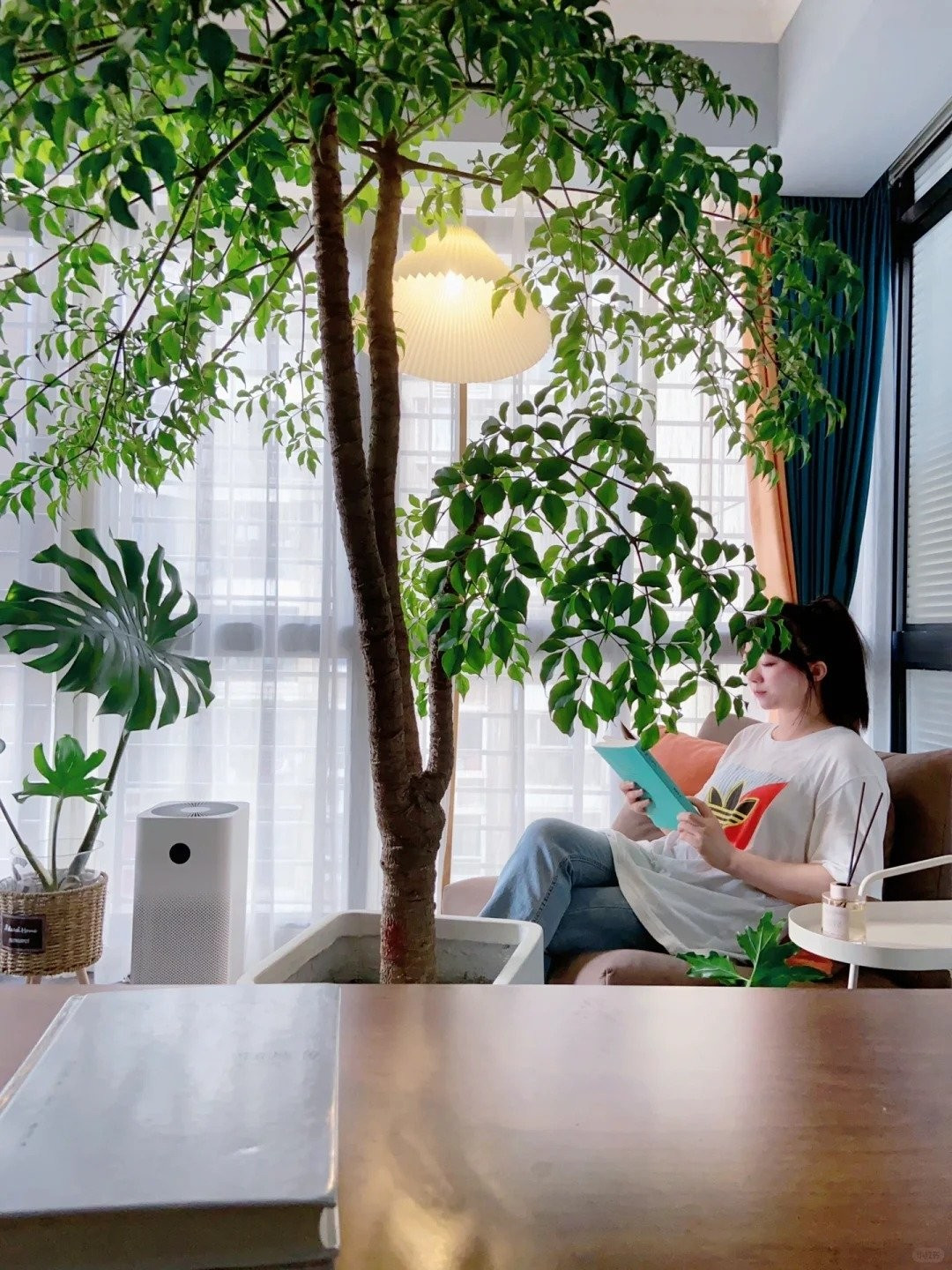 Cây cảnh thường được dùng như một biểu tượng để nhắc nhở mọi người phải kiên trì vượt qua nghịch cảnh. Ảnh minh họa Toutiao