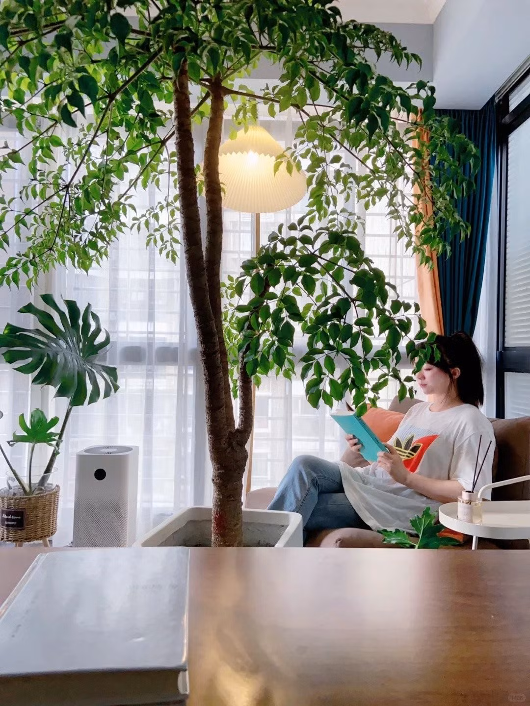 Cây cảnh thường được dùng như một biểu tượng để nhắc nhở mọi người phải kiên trì vượt qua nghịch cảnh. Ảnh minh họa Toutiao