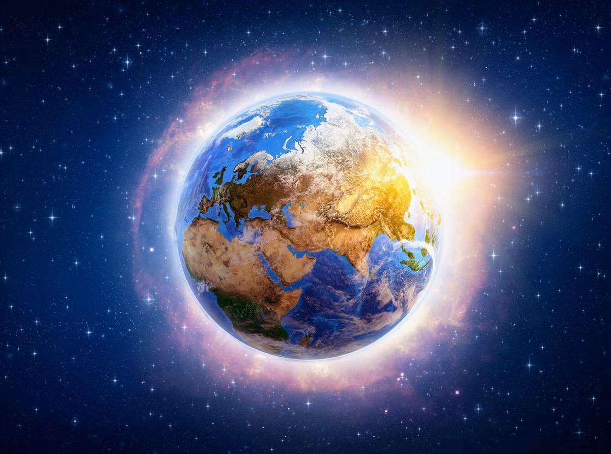 Mạng lưới liên kết giữa hàng nghìn loài đã được lập bản đồ trong "Trái Đất ảo".(Ảnh: Earth)