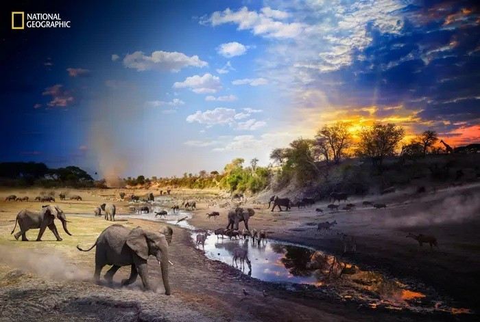 Nhiếp ảnh gia Stephen Wilkes kết hợp hàng trăm ảnh trong 18–36 giờ để tạo bức ngày sang đêm tại một hố nước ở Okavango Delta, Botswana. Trong thời kỳ hạn hán, động vật chen chúc tìm nước, phản ánh sự khắc nghiệt của thiên