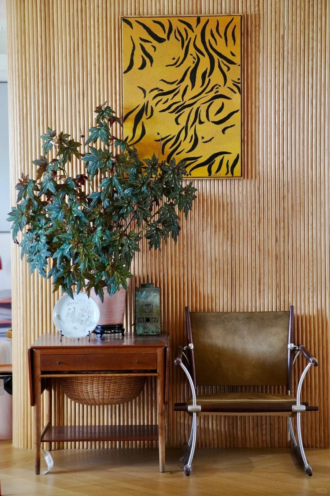 Đặc biệt, thu hải đường cánh thiên thần (Begonia Angel Wing) với lá giống hình cánh chim là giống cây cực hot, thường được dân chơi cây săn lùng.