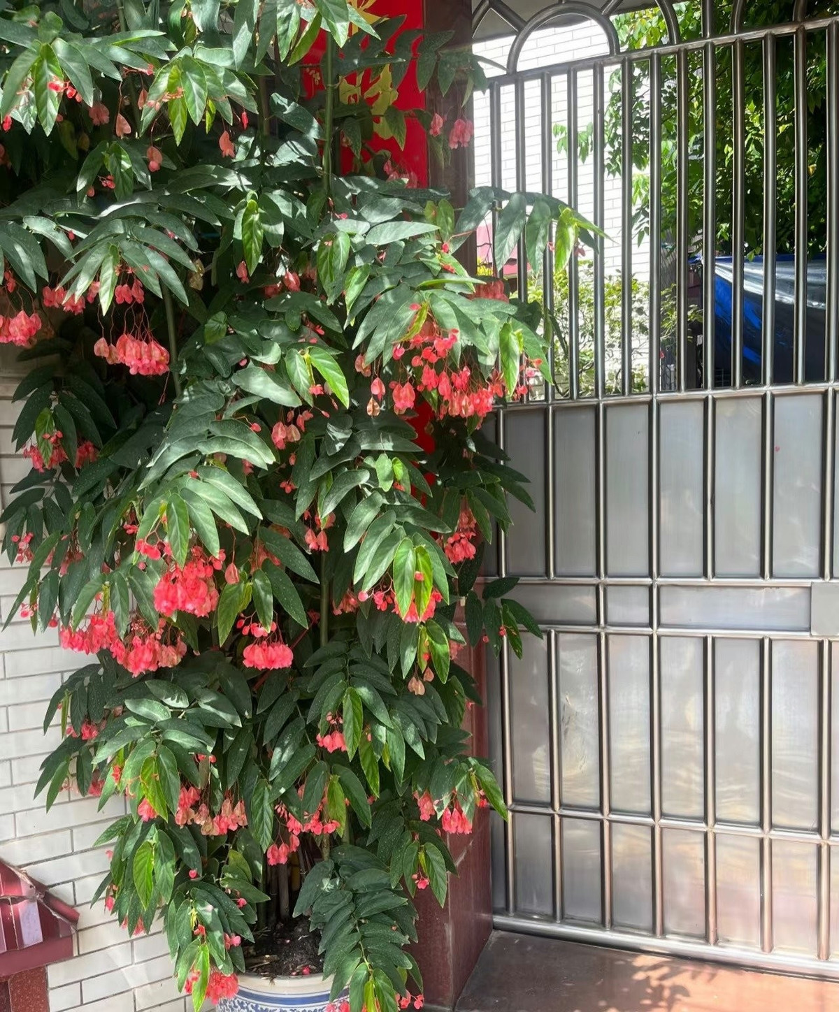 Lá cây cũng là điểm nhấn trang trí, có hình trái tim, cánh thiên thần, cánh dơi, chấm bi hay bạc phủ tuyết – cực kỳ bắt mắt.